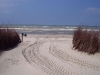 depanne_chronol-102_flo_101_9006_1000