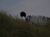DSCF4202.jpg