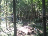 kletterwald347_IMG_0619_1000