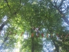 kletterwald367_IMG_0638_1000
